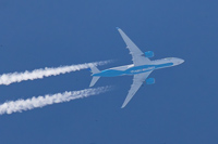F-HNET